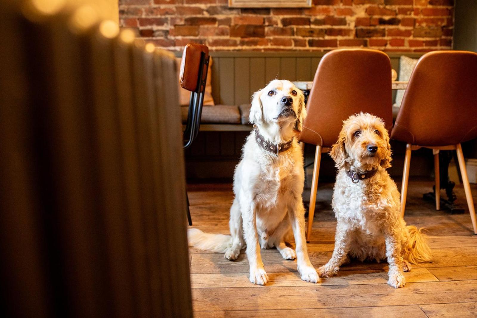 The Boot Inn Burton-upon-Trent Екстериор снимка